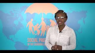 International Summer Course on Social Protection in the Changing Labour Market