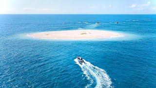 Alone On A SAND CAY - Solo Camping Catch And Cook