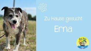  |ERNA- zu Hause gesucht| 