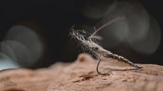 FLY TYING - Pro Shrimp - TUTORIAL