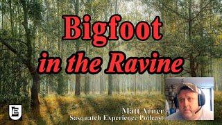 Bigfoot in the Ravine