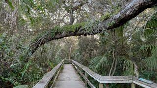 2024 Kickoff from Mahogany Hammock in Everglades