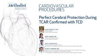 Perfect Cerebral Protection During TCAR Confirmed with TCD (Drs. Bardoczi, Vernes, Garami, Lumsden)