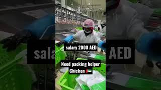 Need chicken Packing helper iN DUBAi