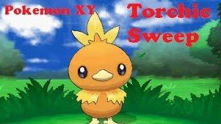 Pokemon XY - Torchic sweep