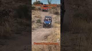 Sand Buggy Adventure with Desert Dog Offroad