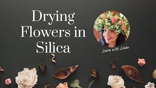 How to Dry Flowers in Silica Beads | Wedding Bouquet Preservation Guide