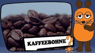 Die Kaffeebohne