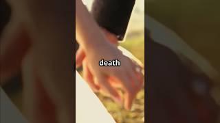 One alive. One dead. Still... a wedding. #shorts #facts #wedding #factopia #death #marriage