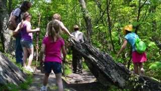 Basics of Hiking with Kids