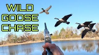 DUCK HUNTING a TINY pond | YOU WON'T BELIEVE WHAT HAPPENED!