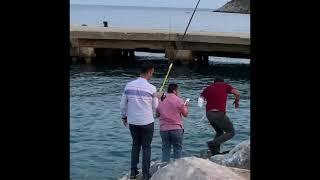 МОРСКАЯ РЫБАЛКА с берега в АЛАНИИ Хороший улов! Турция 2021 SEA FISHING Alanya, Turkey #shorts