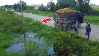 Perfectly Job!! Dump Truck 5Ton Filling Up Land into Land Flooded with Mini Dozer Working D31P