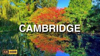 Touring the Stunning Cambridge University Botanic Gardens Walking Tour in 4K HDR