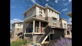 Castle Rock Homes for Rent 4 BEDS/ 2.5 BATHS by Castle Rock Property Management