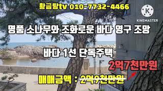 영덕바닷가주택 바다 최1선주택 명품소나무와 조화로운 바다영구 조망 전원주택