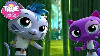 Secret Ninja Cat Dojo!  6 FULL EPISODES  True and the Rainbow Kingdom 