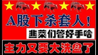 韭菜们管好手！A股盘中集体下杀！主力又想洗盘套人了！（2024.10.30股市分析）