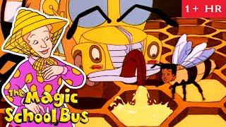 Bees, Light and Archaeology | Full Episodes | The Magic School Bus | Scholastic Classic