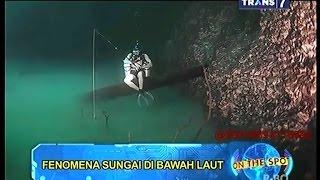 On The Spot - Fenomena Sungai di Bawah Laut