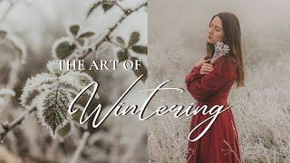 The Art of Wintering - Joys of Living Seasonally ️  Slow Living & Cozy Start of January 2025