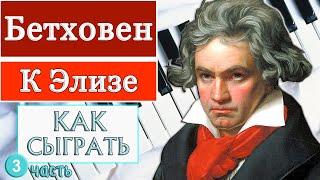 К Элизе на пианино обучение Урок №3 как играть разбор туториал легко медленно для начинающих ноты