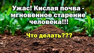 Практически все врут о pH почвы !?! Башинком. Дмитрий Скотников, Вячеслав Кузнецов