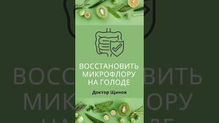 Как восстановить микрофлору кишечника в период лечебного голодания? Доктор Щинов.