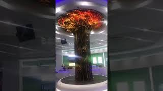 Using Flexi LED Panels To Construct Video Tree