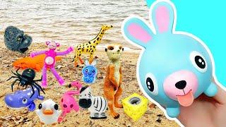 Learn Animal Names & Facts at the Lake for Kids: Monkey Rabbit Mouse Zebra