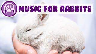 Music Just for Rabbits - Relax and Soothe Your Rabbit and Stop Anxiety!