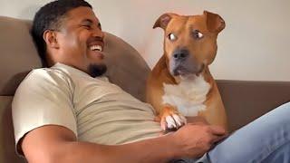 When Your Dog is the Funniest Family Member!  Funny Dog and Human Video 2025