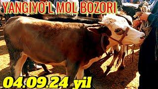 YANGIYOʻL MOL BOZORIDA YOSH GʻOʻNAJINLAR NARXLARI 