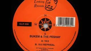 Bukem & The Peshay - 19.5