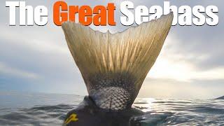 The Great Seabass - Amazing Day Shallow Winter Spearfishing