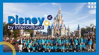 Pacote Disney by Intercultural: conheça a melhor viagem da vida!