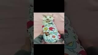 Fails of the Week | Funny Fails #funny #viralvideo #shorts #Daily Dose on internet