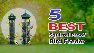 The Best Squirrel Proof Bird Feeder - How To Keep Squirrels Out