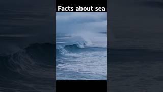 Facts about sea !! educational video#shorts #ytshorts #curiosity corner