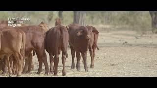 Farm Business Resilience Planning - GSNRM Keerah Steele Masterson's story