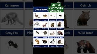 Omnivores animals list with pictures ️