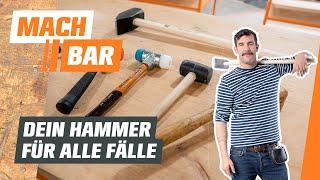 Werkzeugkunde: Hammer Arten und Funktionen | OBI