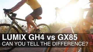 Lumix GH4 vs GX85 / GX80 - Can you tell the difference?