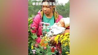 单亲妈妈莉亚荒野生活记录，她带着两个孩子边工作边生活