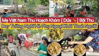 #543] Hôm Nay Mẹ Của The Thu Hoạch Khóm Được Bao Nhiêu?? Cháu Ngoại Về Quá Đông Khỏi Cần Thuê Người