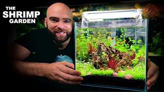 The Shrimp Garden: ALL in ONE Kit Aquarium