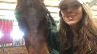 BOYD MARTIN CLINIC // VLOG 2017