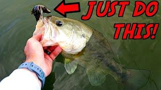 The #1 Way to Catch GIANT Bass in the Summer!