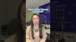 What makes divorce expensive?