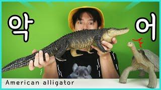 엄청 큰 악어 피규어 american alligator